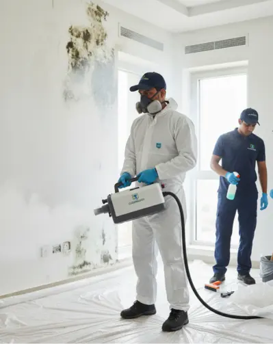 Professional mould treatment in Qatar — expert applying safe and effective cleaning solutions to interior wall